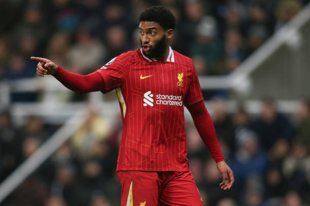 案例分析 案例分析